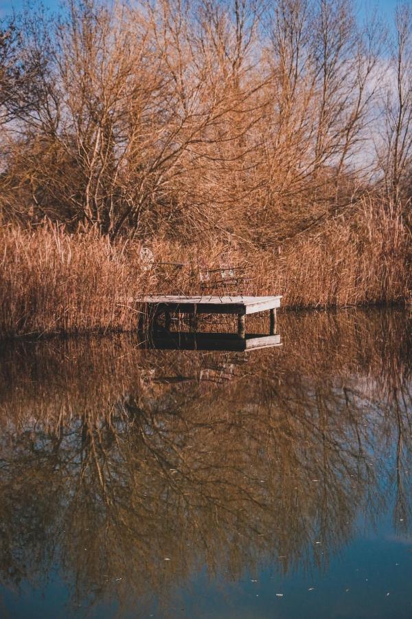 Waya A Domaine Saint Domingue Panzió Narbonne Kültér fotó